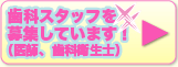 �S�R�s�@���ȁ@�X�^�b�t��W